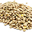 Lentils